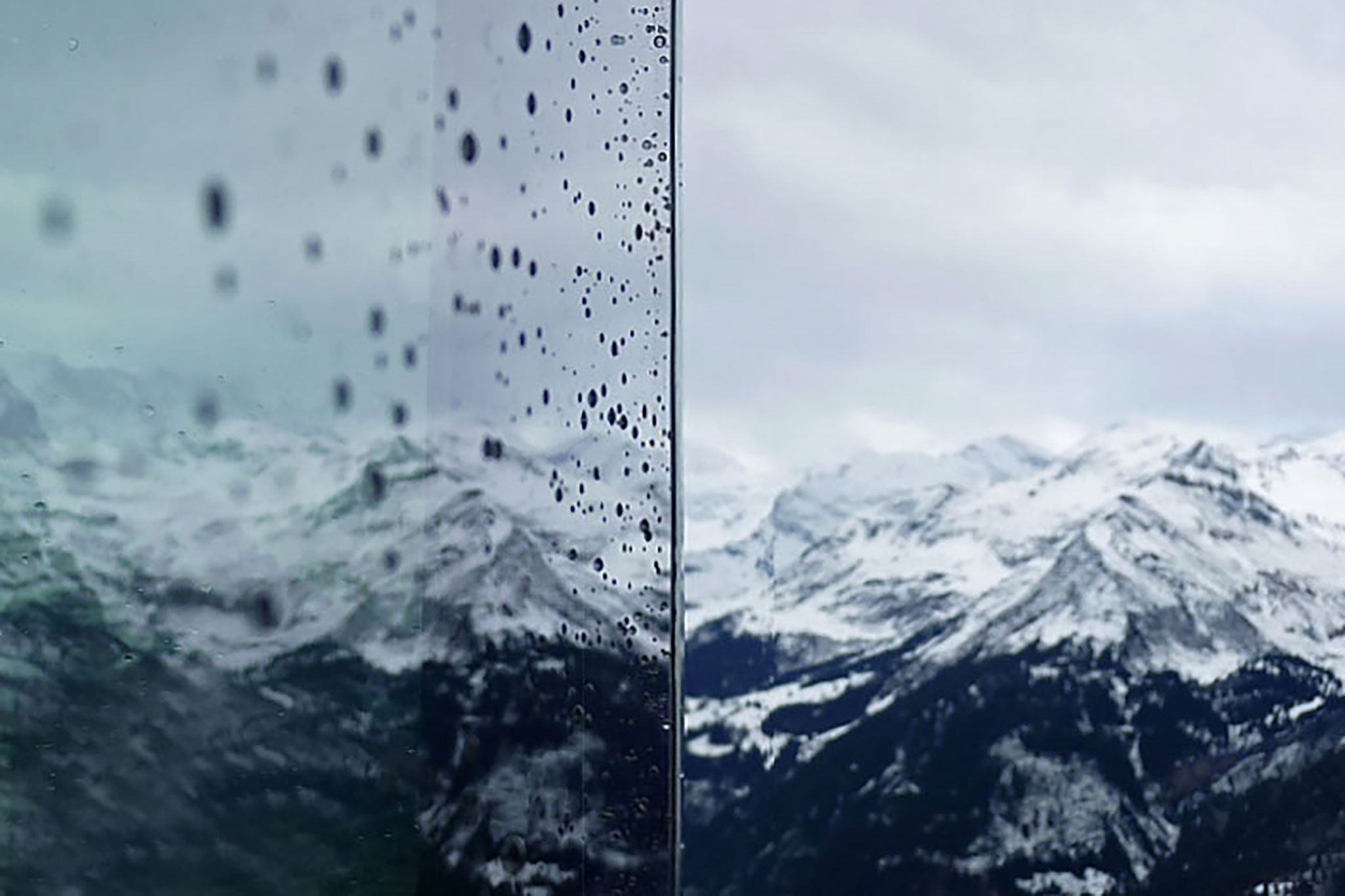 Schynige Platte 005